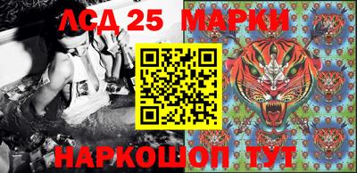 ешки Моздок