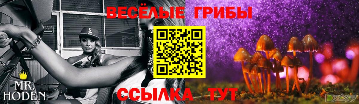 Чайковский  Галлюциногенные грибы Psilocybine cubensis  наркошоп  Вход с VPN 